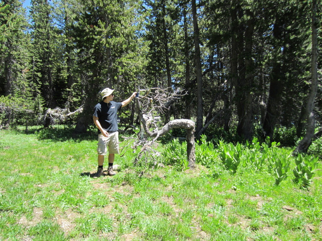 WhiteRockCamping29_8fd0801f9953447afe277a0646db16dadfa7d108.jpg