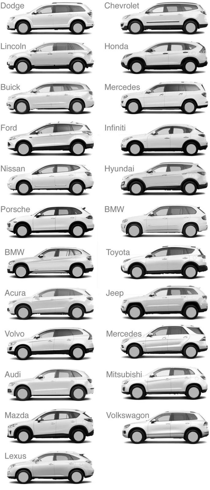 whiteSUVs.jpg