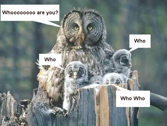 WhoAreYou2.jpg