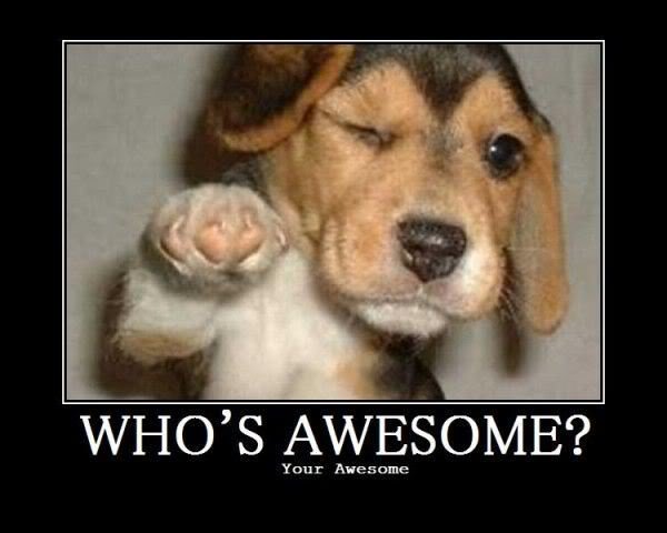 whos_awesome_06064d7de3d99711fc24b948e98663675ab171ba.jpg