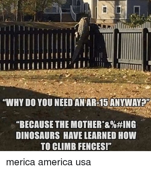 why-do-you-need-an-ar-15-anywayp-because-the-31648903.jpg