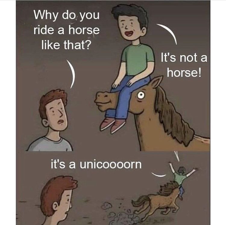 why-do-you-ride-a-horse-like-that-1.jpg