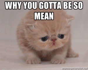 why-you-gotta-be-so-mean-300x238.jpg