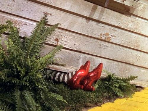 Wicked_Witch_of_the_East_is_dead.jpg