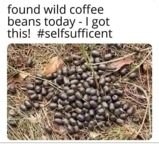 wild-coffee-beans-v0-5184kxqo15w81.jpg.jpg
