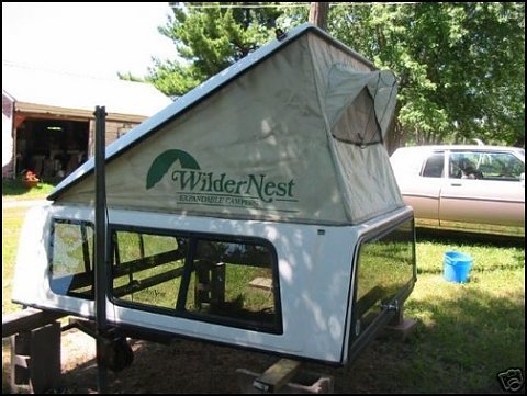 wildernest tip top.jpg