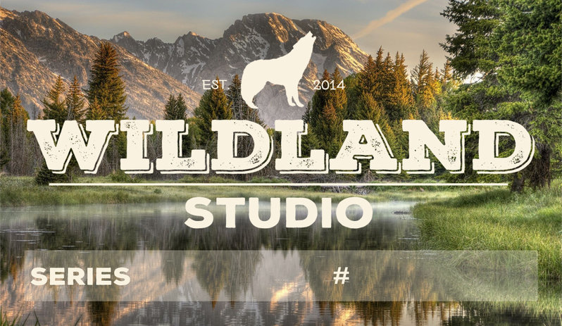 wildlandstudiocard.jpg