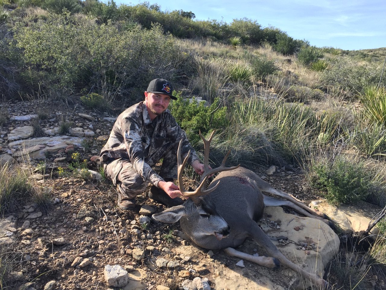 Will Deer 2017 8.jpg