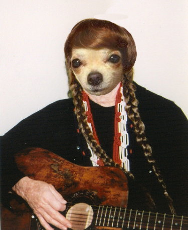 willie.jpg