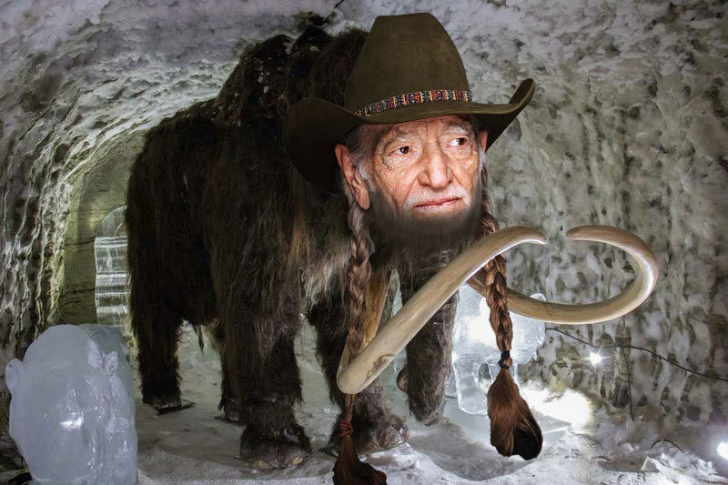 Willie-Mammoth.jpg