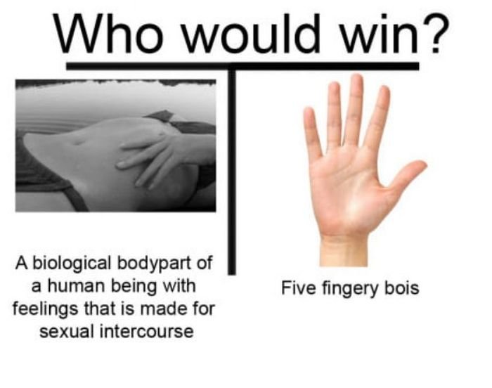 win1.jpg