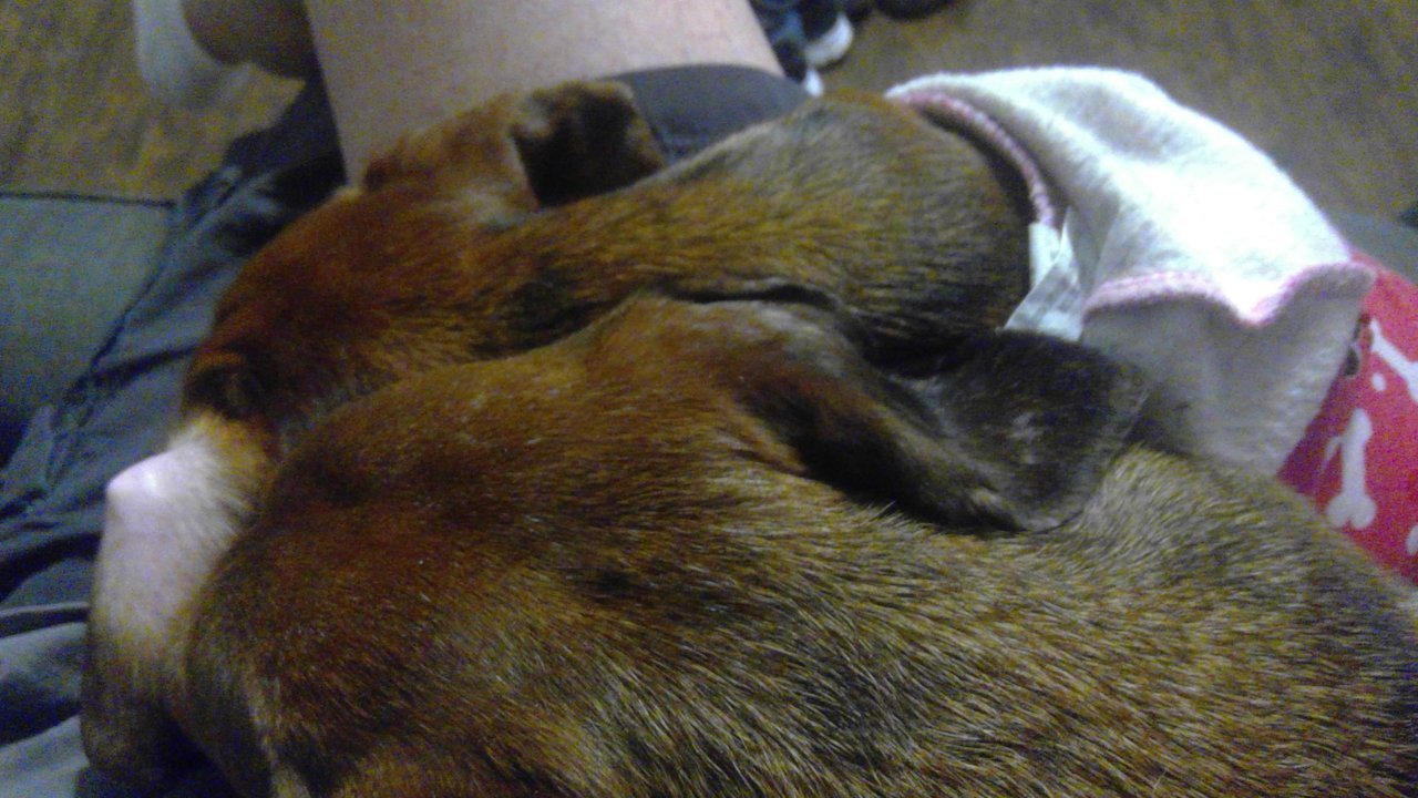 WIN_20201223_20_54_01_Pro.jpg