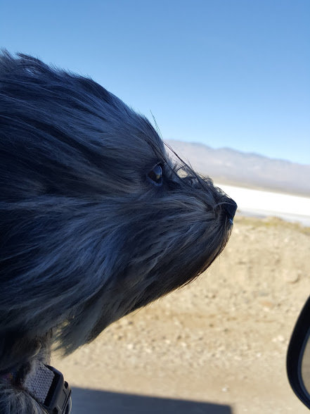 WindblownGeo.jpg