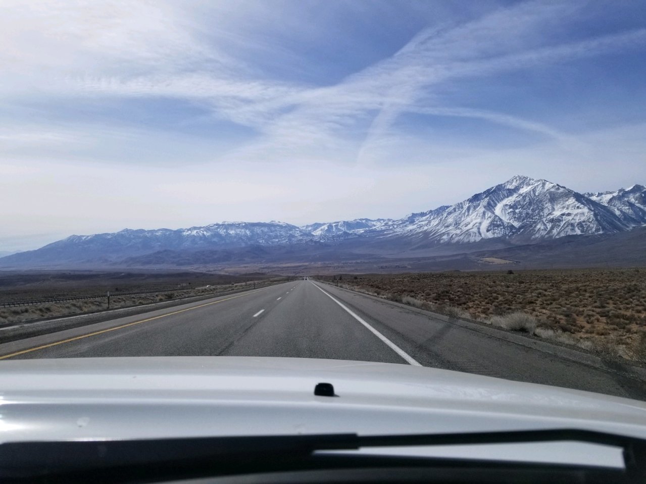 Windshield.jpg