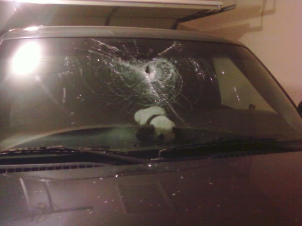 windshield_fe24e6706e1b7a972932c386387a220c6ae34ad7.jpg