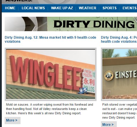 winglees.jpg