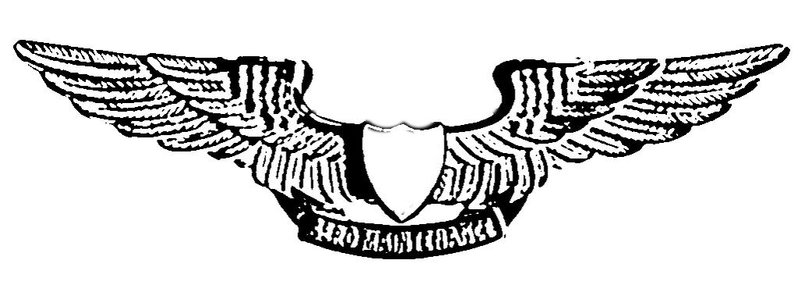 wings stencil.jpg