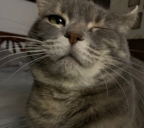 wink.jpg