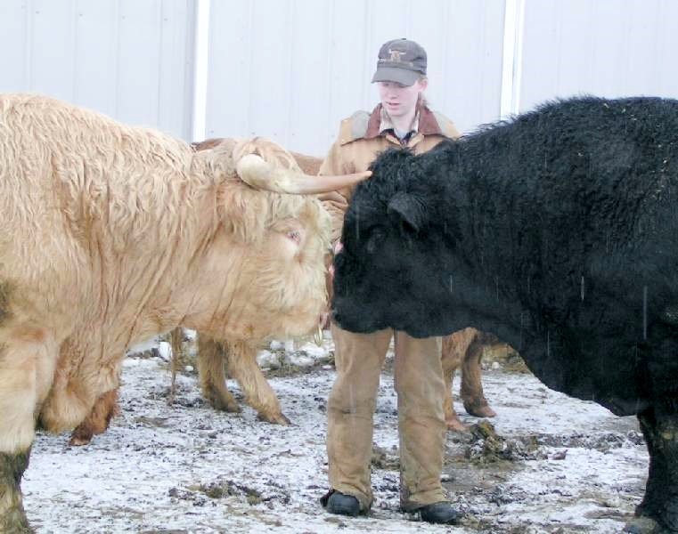 WINTER FEEDING3.jpg