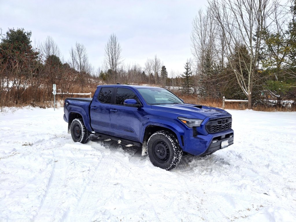 winter photo .jpg