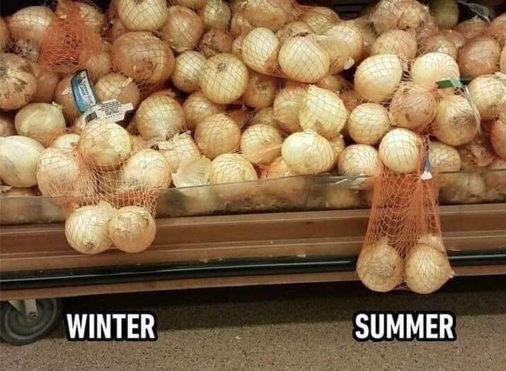winter-summer.jpg
