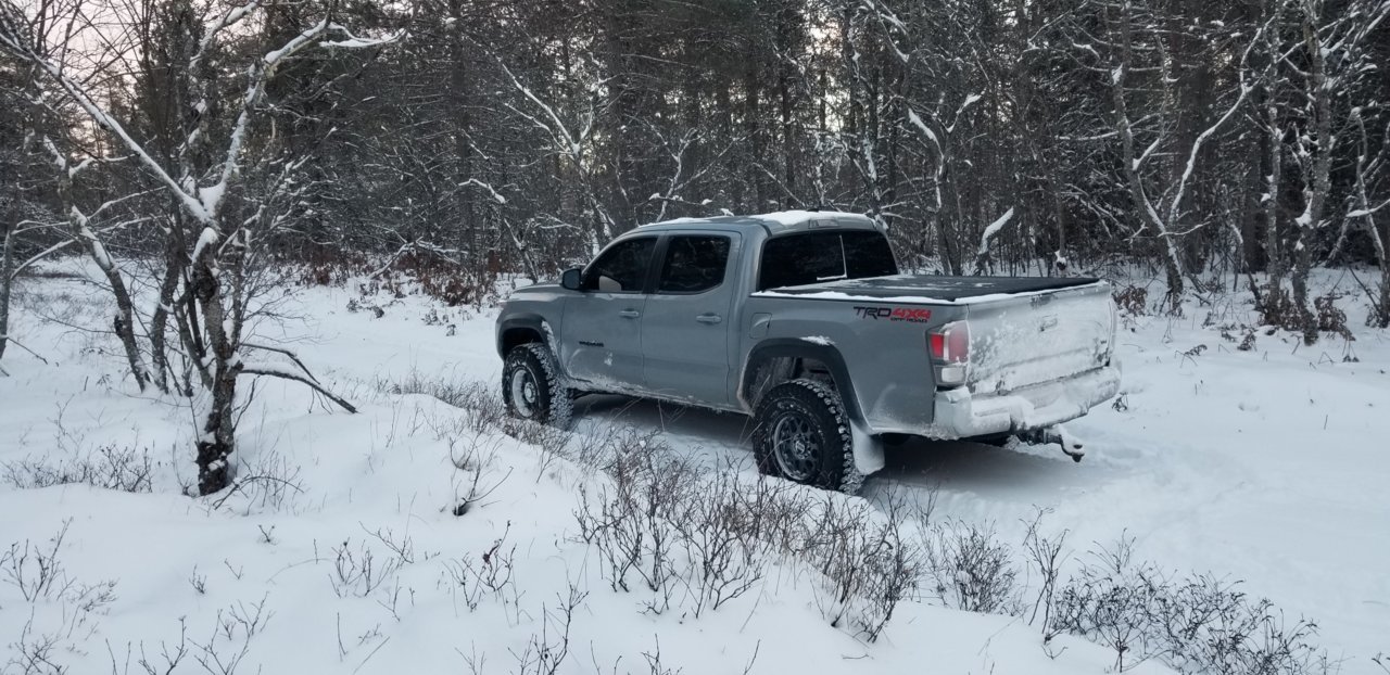 winter taco.jpg