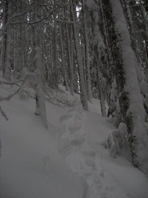 winter walk 08 092.jpg
