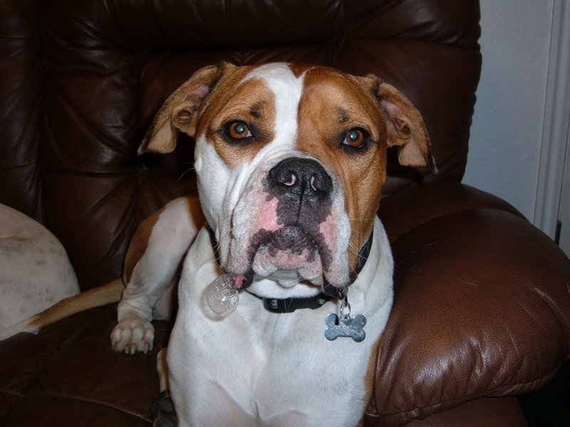 winter2011 026.jpg