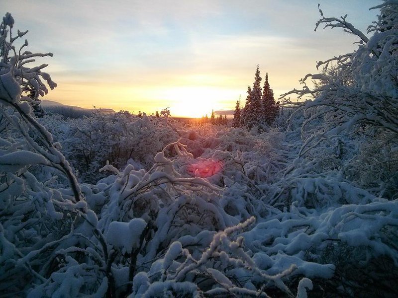 Winter3.jpg