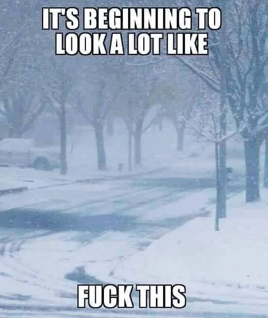 winter3.jpg