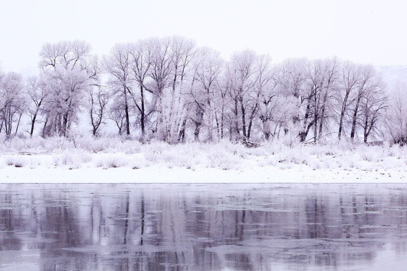 Winters Reflection (1 of 1).jpg