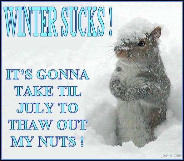 WinterSucks.jpg