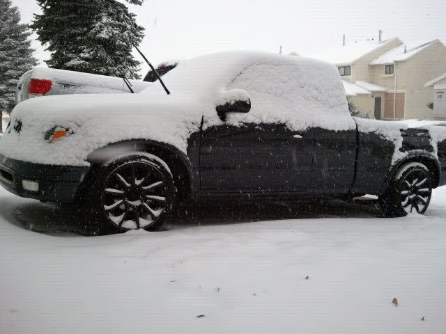 wintertaco_3a6abff65f84cda6a5fe42afbccbdf9f3993ea7f.jpg