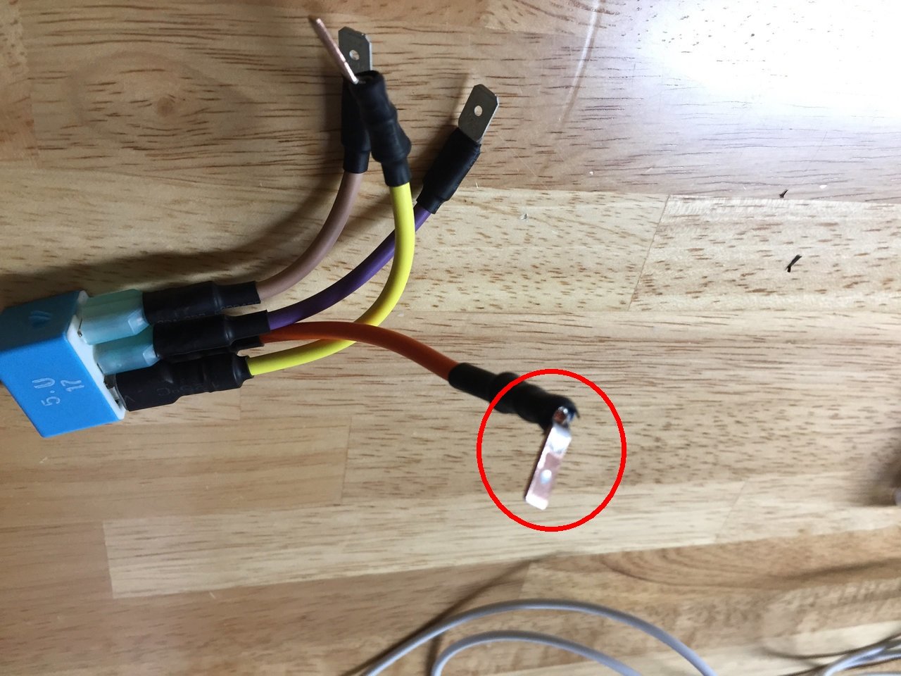wire.jpg
