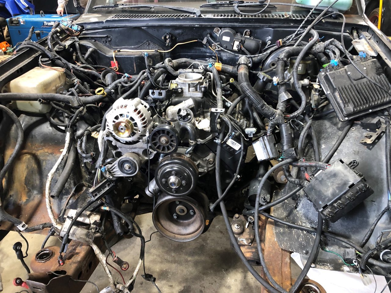 wiring harness.jpg