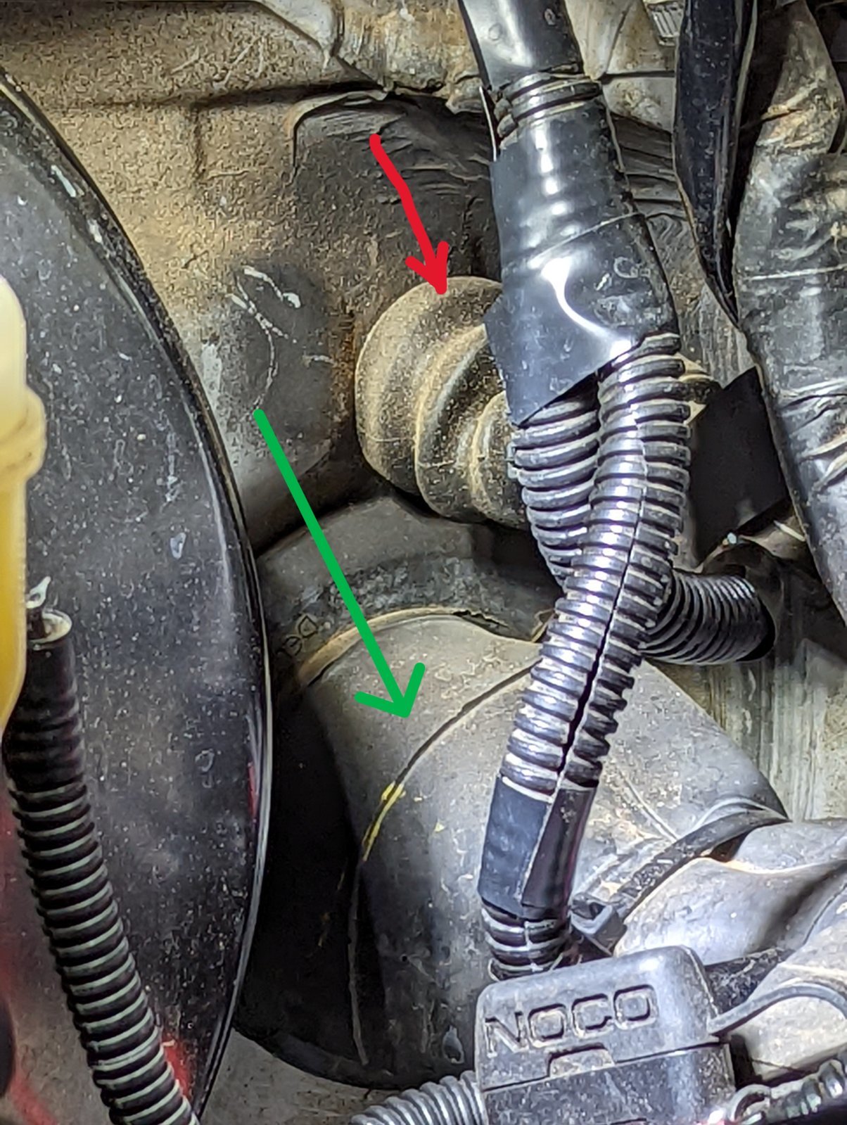 wiring harness Tacoma.jpg