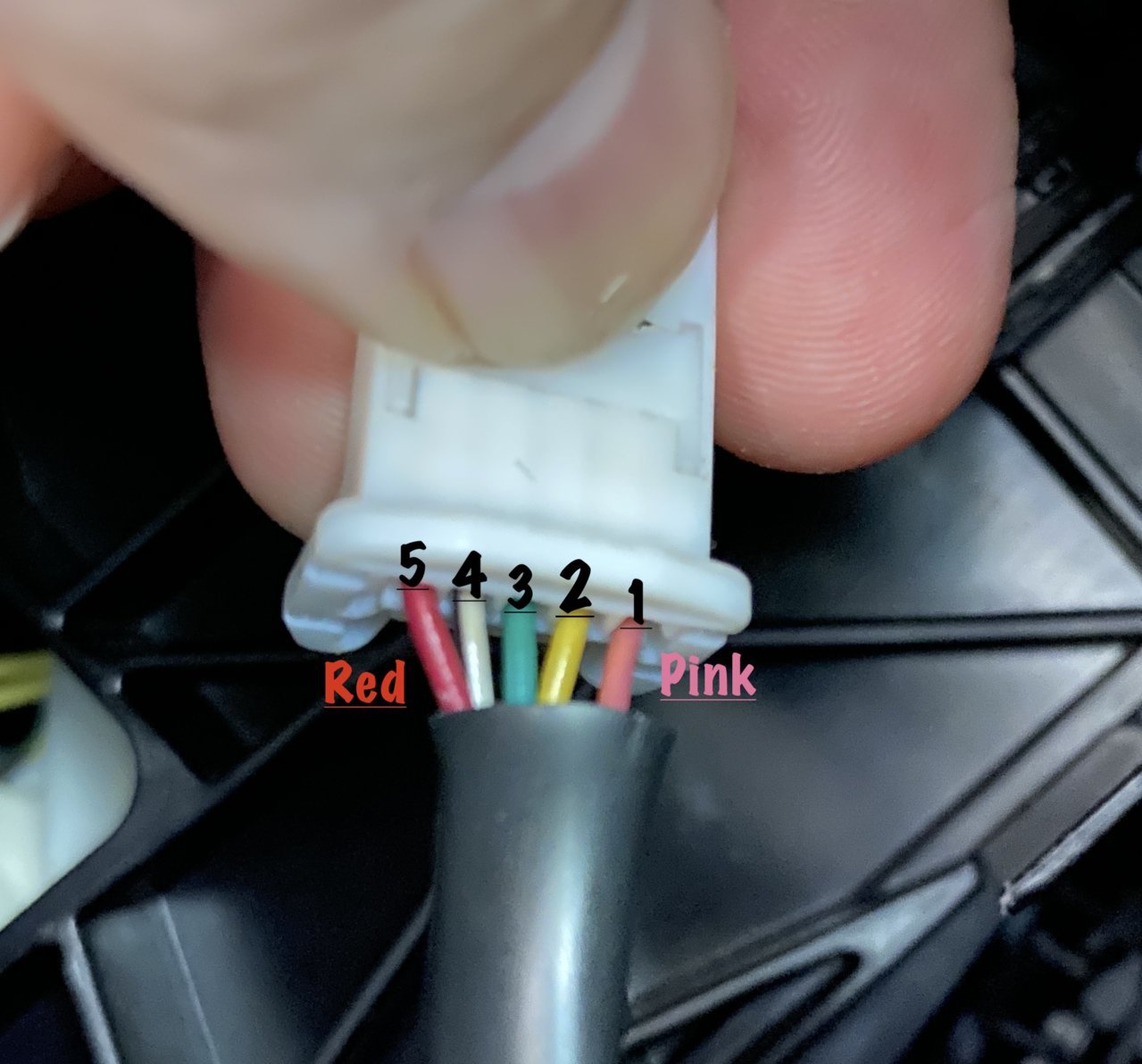 wiring1.jpg