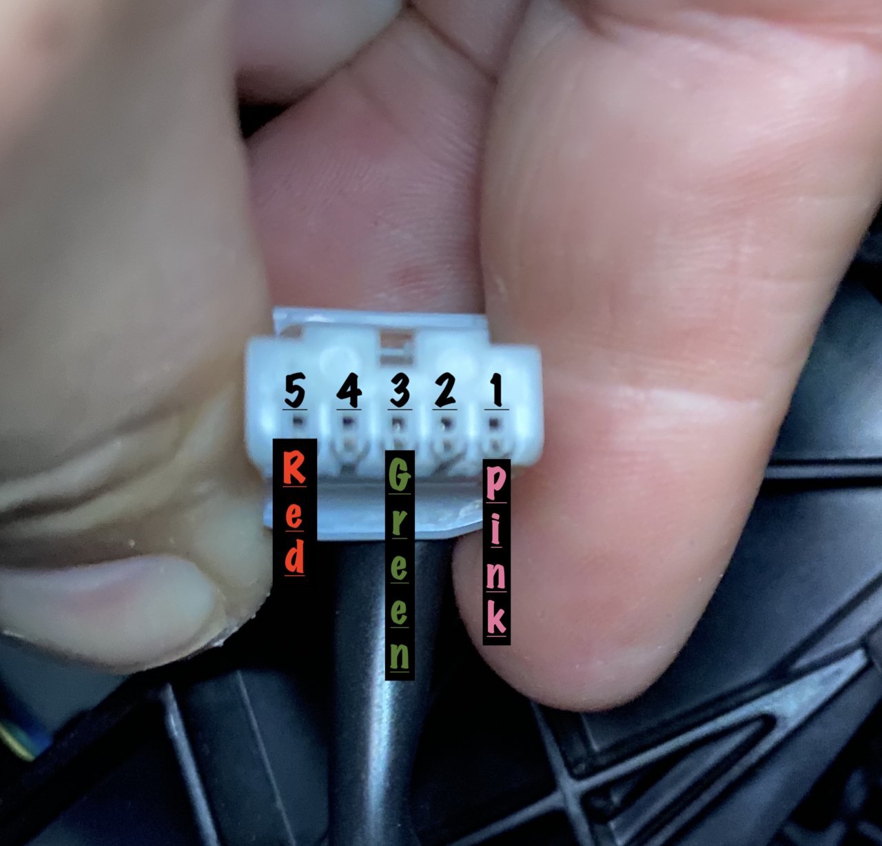 wiring2.jpg