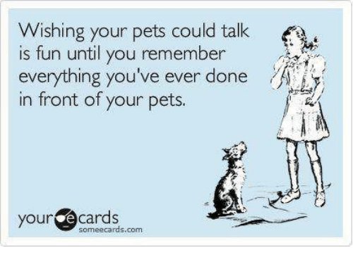 wishing-your-pets-could-talk-is-fun-until-you-remember-15893841.jpg