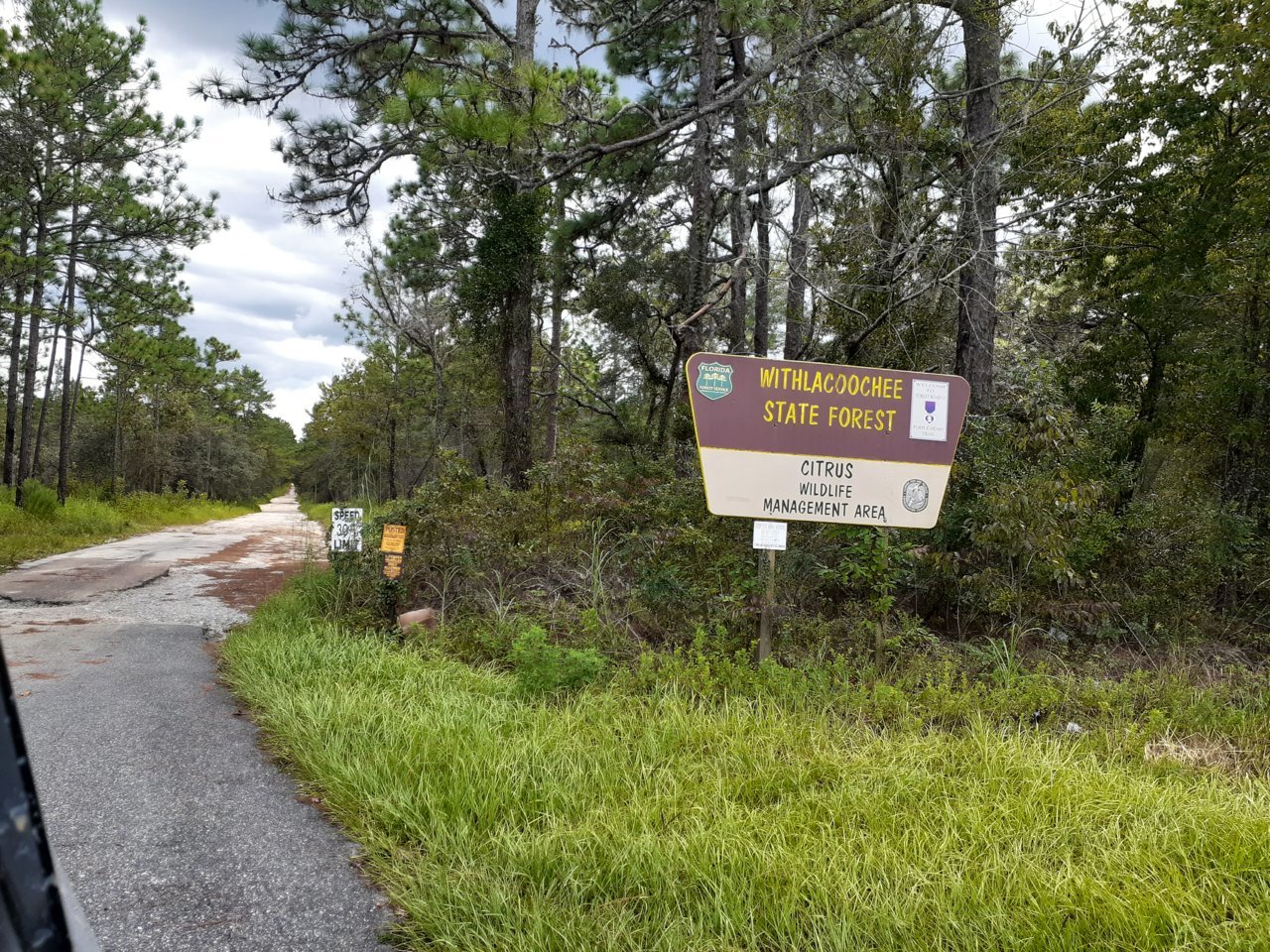Withlacoochee.jpg