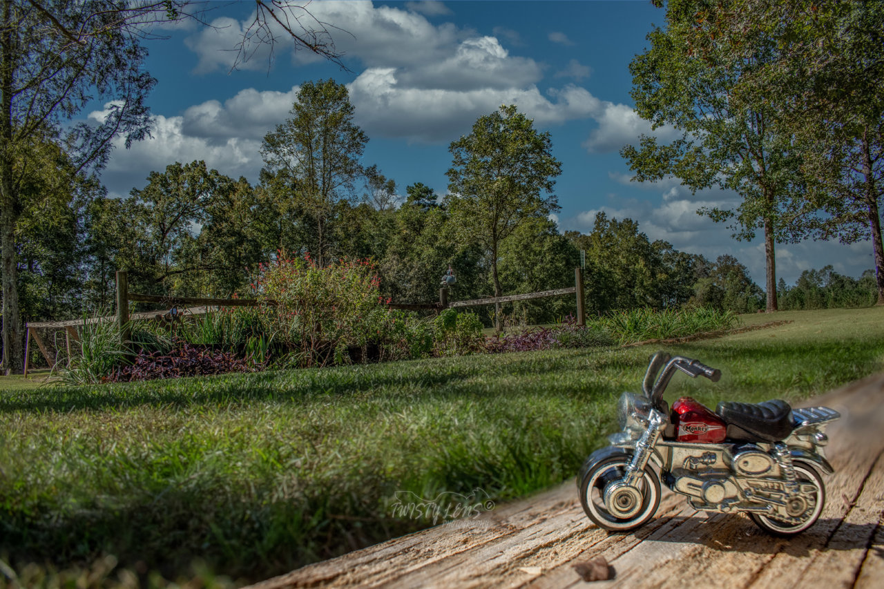 WK41 Honda Monkey Country.jpg