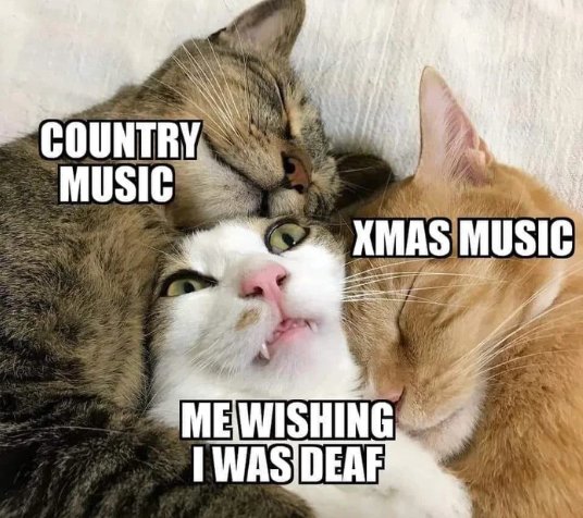 wmtTHAQ.jpg