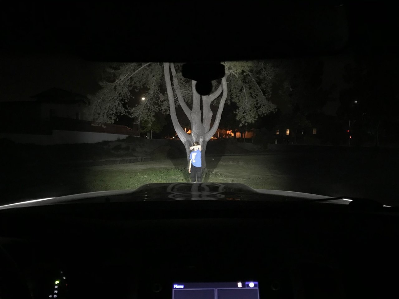 WNDSHLD lights 2 Rigid only.jpg