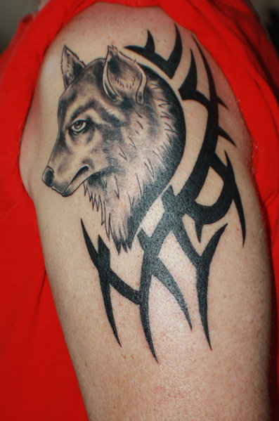 Wolf Tattoo Day 2 1.jpg