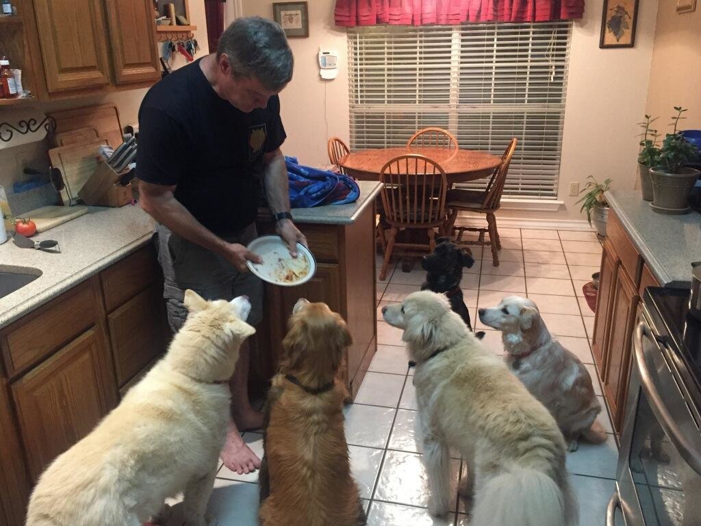 wolf_pack.jpg