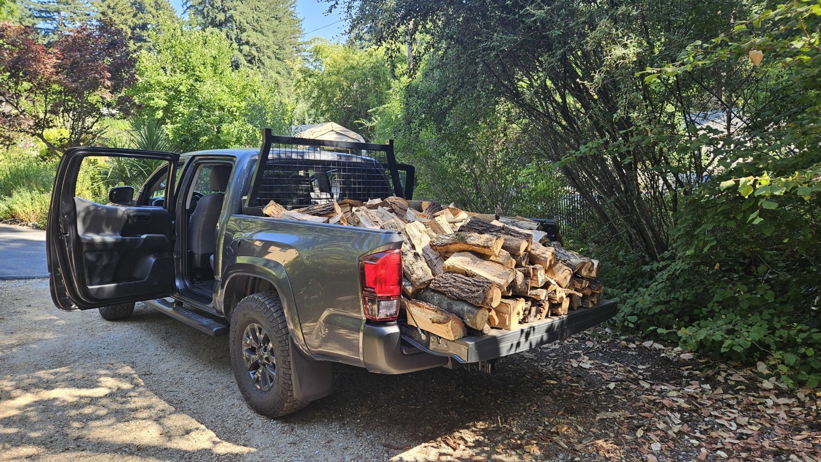 Wood 2.jpg