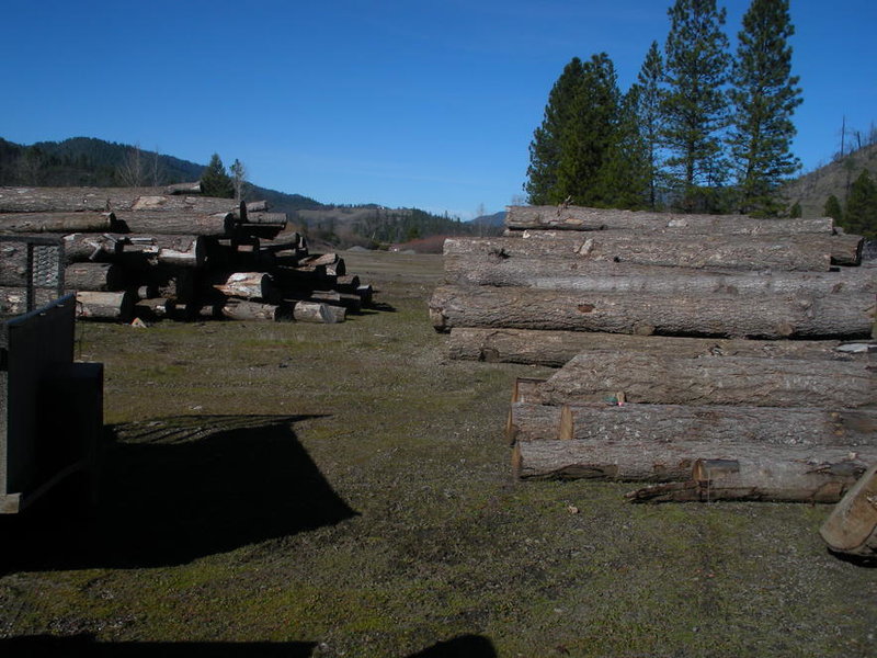 wood 2015 001.jpg