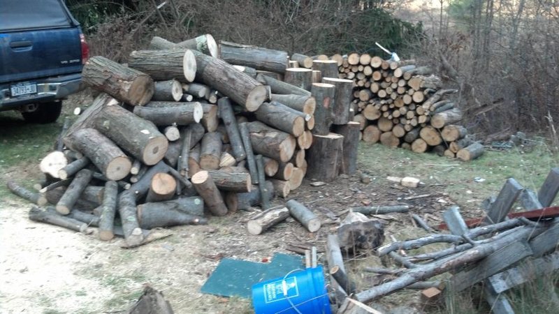 wood 3.jpg