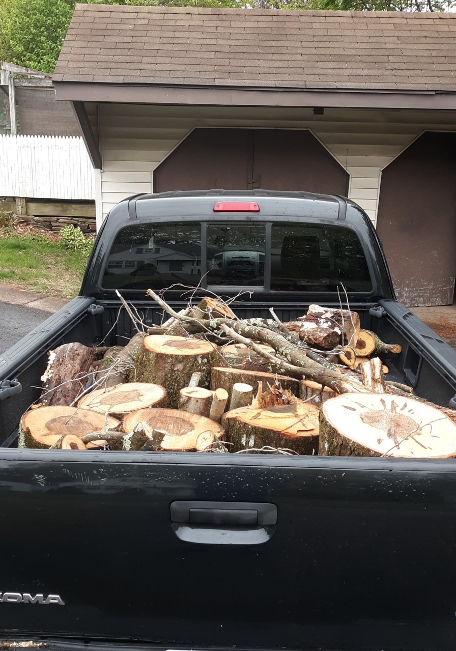 Wood from Tolland4-28.jpg