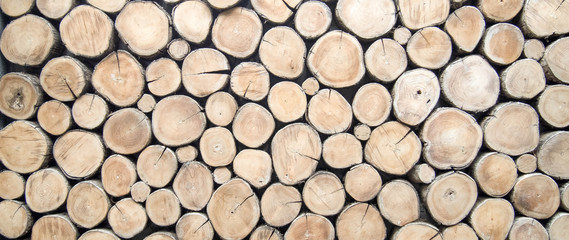 wood.jpg